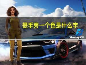 提手旁一个色是什么字