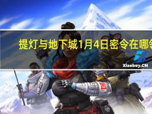 提灯与地下城1月4日密令在哪领-最新密令免费领取