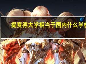 提赛德大学相当于国内什么学校