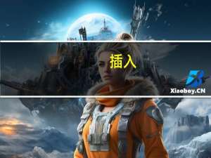 插入（关于插入的介绍）