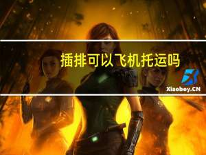 插排可以飞机托运吗