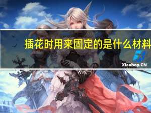 插花时用来固定的是什么材料