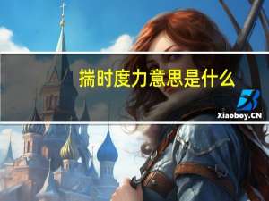 揣时度力意思是什么