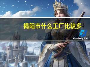揭阳市什么工厂比较多