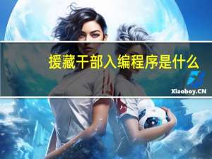 援藏干部入编程序是什么