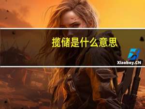 揽储是什么意思
