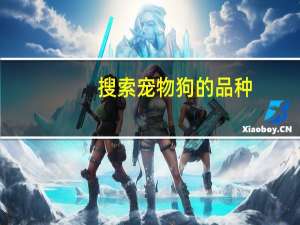 搜索宠物狗的品种