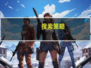 搜索策略