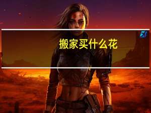 搬家买什么花