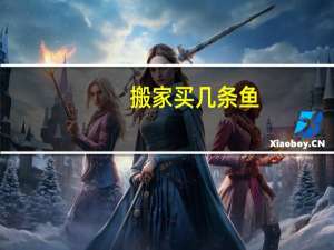 搬家买几条鱼