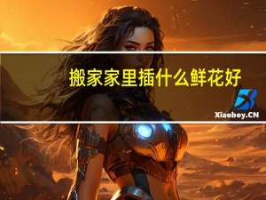 搬家家里插什么鲜花好