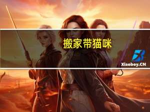 搬家带猫咪