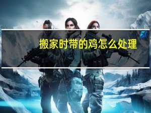 搬家时带的鸡怎么处理