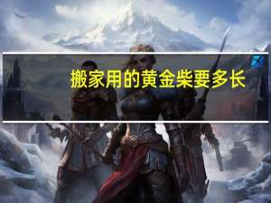 搬家用的黄金柴要多长