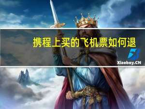 携程上买的飞机票如何退
