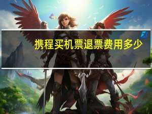 携程买机票退票费用多少