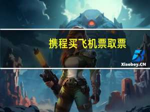 携程买飞机票取票