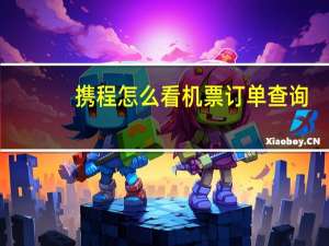 携程怎么看机票订单查询