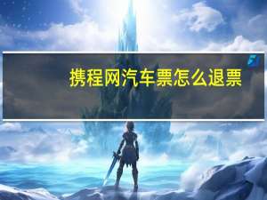 携程网汽车票怎么退票
