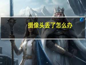 摄像头丢了怎么办