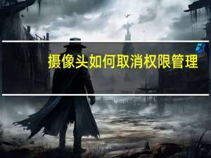 摄像头如何取消权限管理