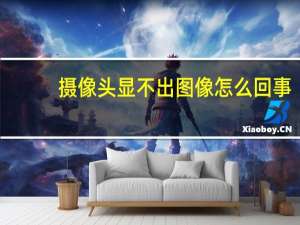 摄像头显不出图像怎么回事