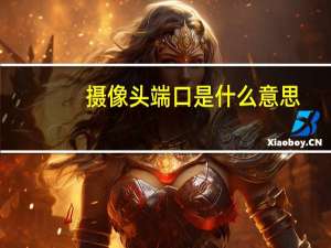 摄像头端口是什么意思