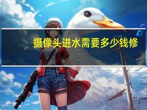 摄像头进水需要多少钱修