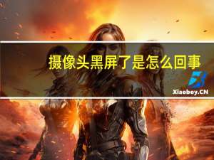摄像头黑屏了是怎么回事
