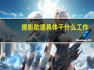 摄影助理具体干什么工作