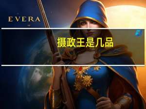 摄政王是几品