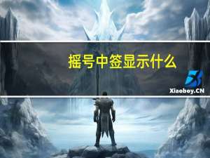 摇号中签显示什么