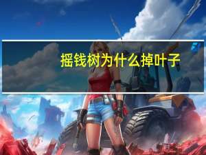 摇钱树为什么掉叶子