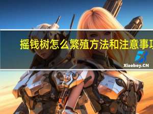 摇钱树怎么繁殖方法和注意事项