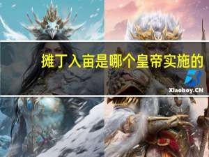 摊丁入亩是哪个皇帝实施的