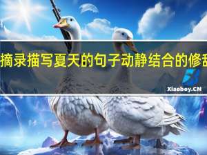 摘录描写夏天的句子动静结合的修辞手法