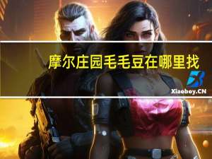 摩尔庄园毛毛豆在哪里找（摩尔庄园毛毛豆在哪）