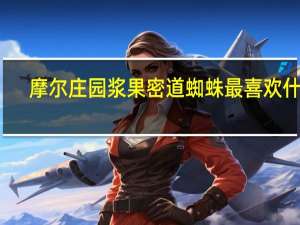 摩尔庄园浆果密道蜘蛛最喜欢什么（摩尔庄园浆果密道）