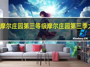 摩尔庄园第三等级 摩尔庄园第三季大结局