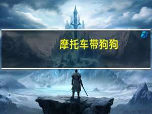 摩托车带狗狗