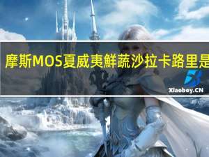 摩斯 MOS夏威夷鮮蔬沙拉卡路里是多少