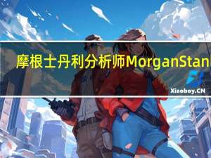 摩根士丹利分析师Morgan Stanley：美股消费股2023年迄今出色表现但所面临的在风险聚积