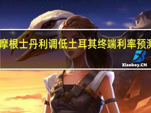 摩根士丹利调低土耳其终端利率预测至30%