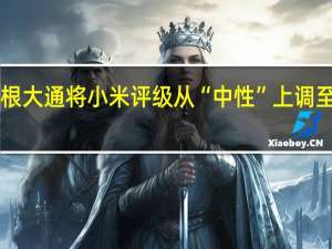 摩根大通将小米评级从“中性”上调至“增持”