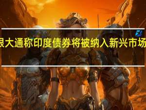 摩根大通称印度债券将被纳入新兴市场债券指数
