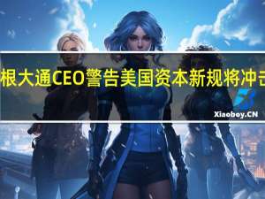 摩根大通CEO警告美国资本新规将冲击银行股