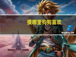 摸哪里狗狗喜欢