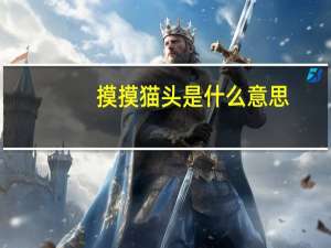 摸摸猫头是什么意思（摸摸猫头）
