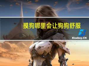 摸狗哪里会让狗狗舒服