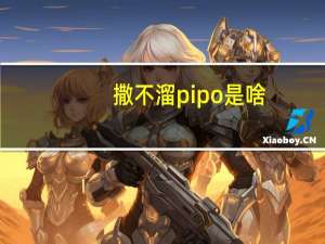 撒不溜pipo是啥（撒不溜PIPO啥意思）